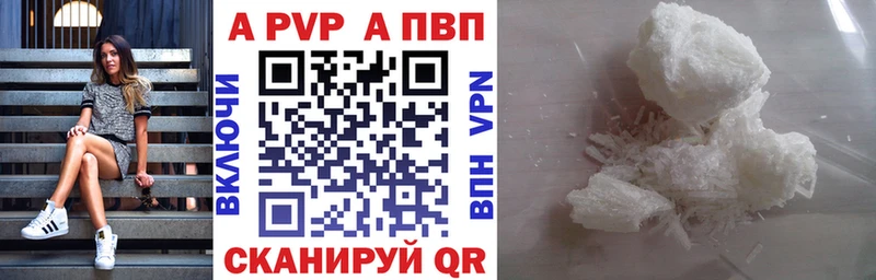 A PVP СК КРИС  Петропавловск-Камчатский 