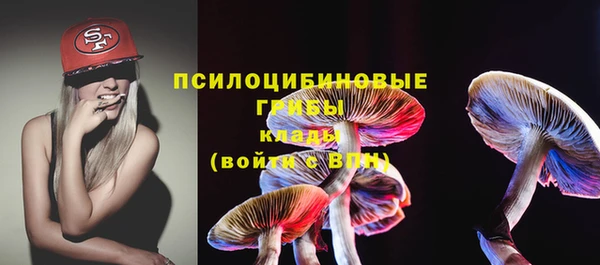 гидра Богородицк