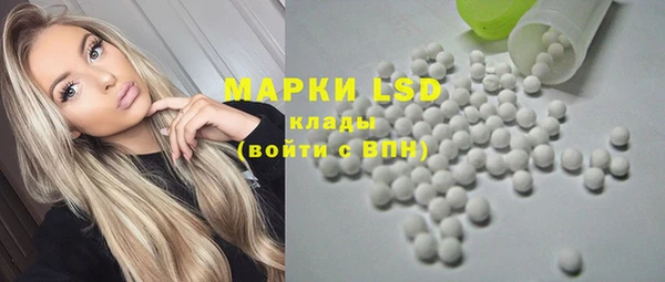 гидра Богородицк