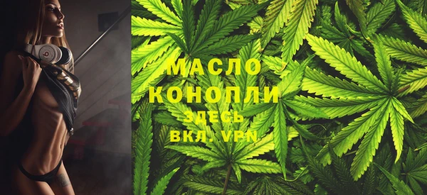 гидра Богородицк