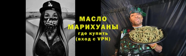 гидра Богородицк