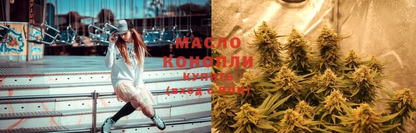 гидра Богородицк