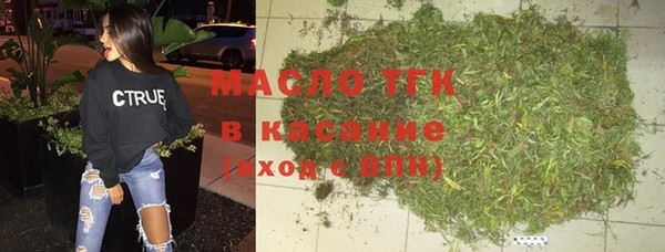 гидра Богородицк