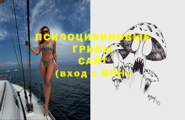 ПСИЛОЦИБИНОВЫЕ ГРИБЫ Богданович