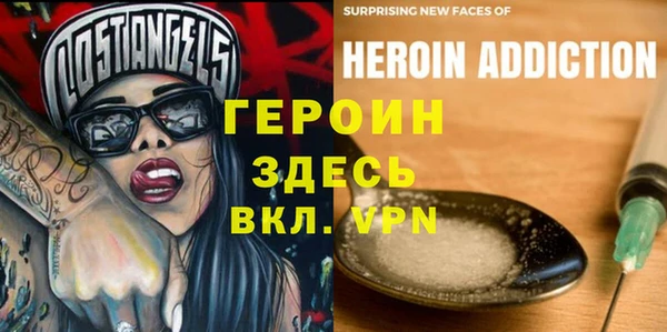 гидра Богородицк