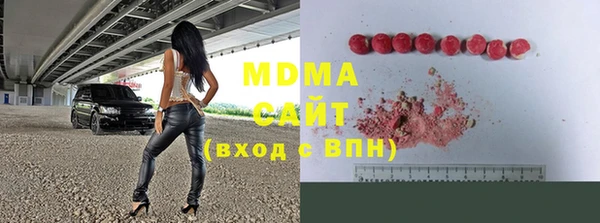 гидра Богородицк