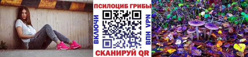 Псилоцибиновые грибы Cubensis  маркетплейс официальный сайт  Петропавловск-Камчатский  продажа наркотиков 